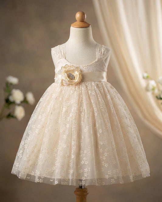 Baptism Tulle Dress with Rhinestones & Pearl Sash