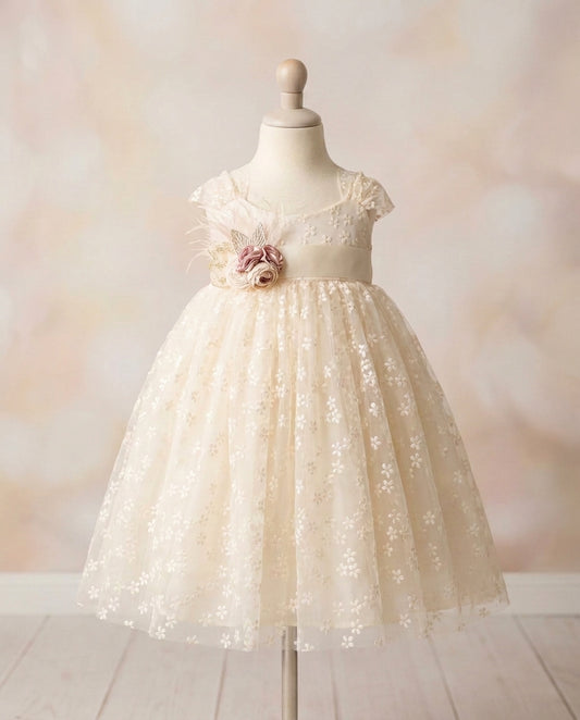 Baptism Tulle Dress with Rhinestones & Pearl Sash